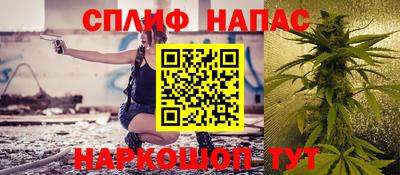 тгк Тула