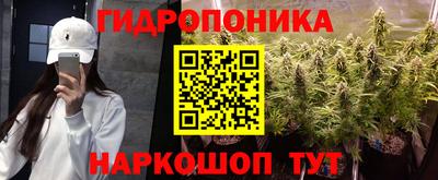 тгк Тула