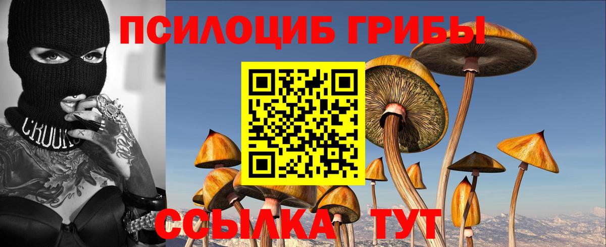 Галлюциногенные грибы GOLDEN TEACHER Нефтекамск